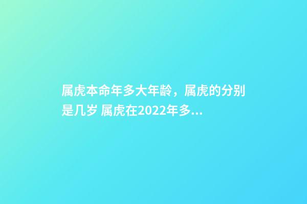 属虎本命年多大年龄，属虎的分别是几岁 属虎在2022年多大了，2022年属虎的本命年好不好-第1张-观点-玄机派